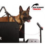 Dogrunner Tracks